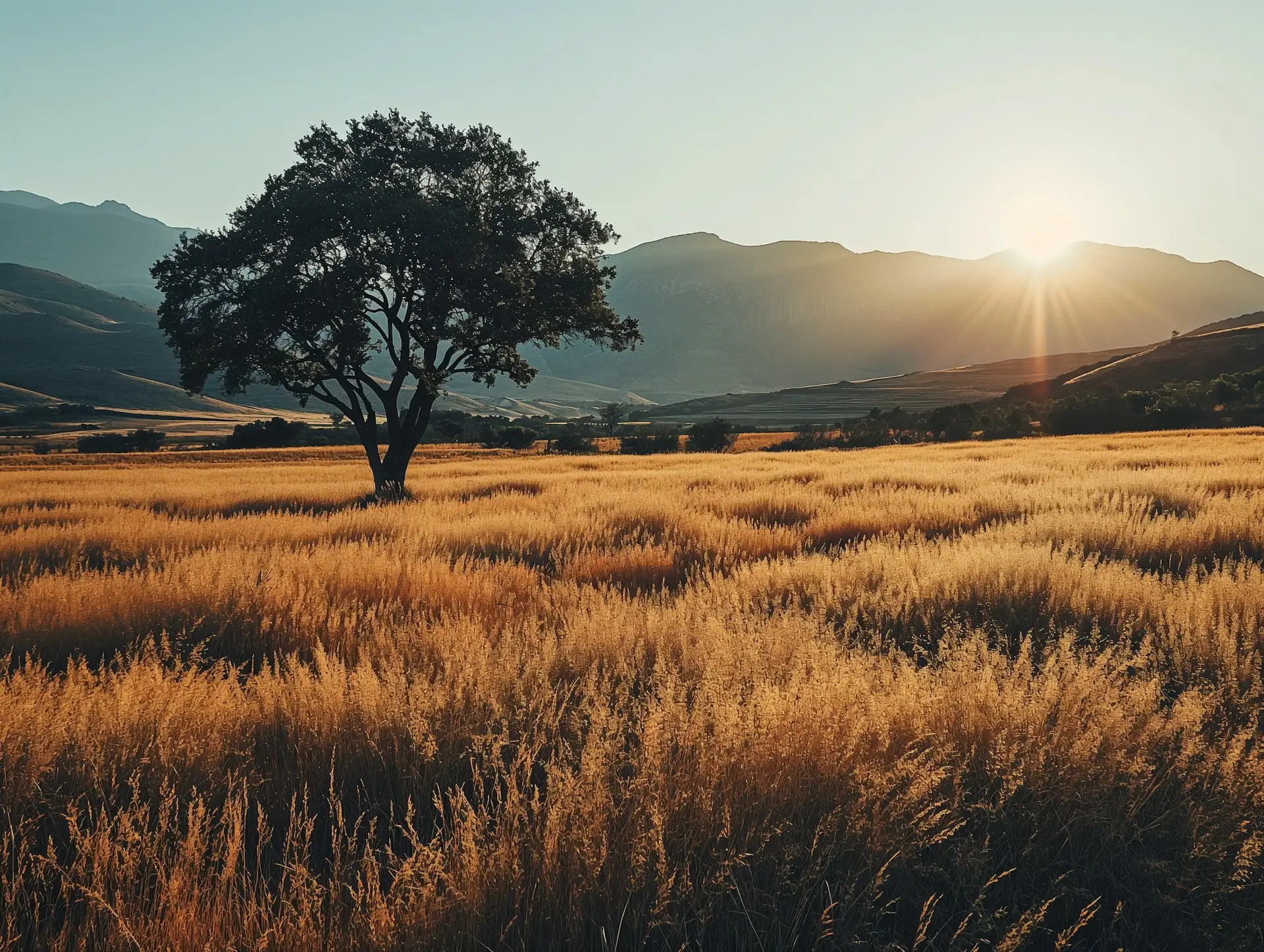 A Guide to Online Privacy in 2024 (new conditions)